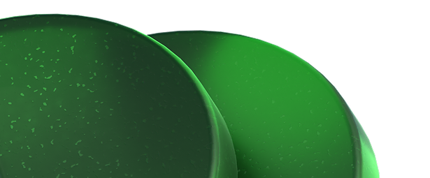 Home About Section Image